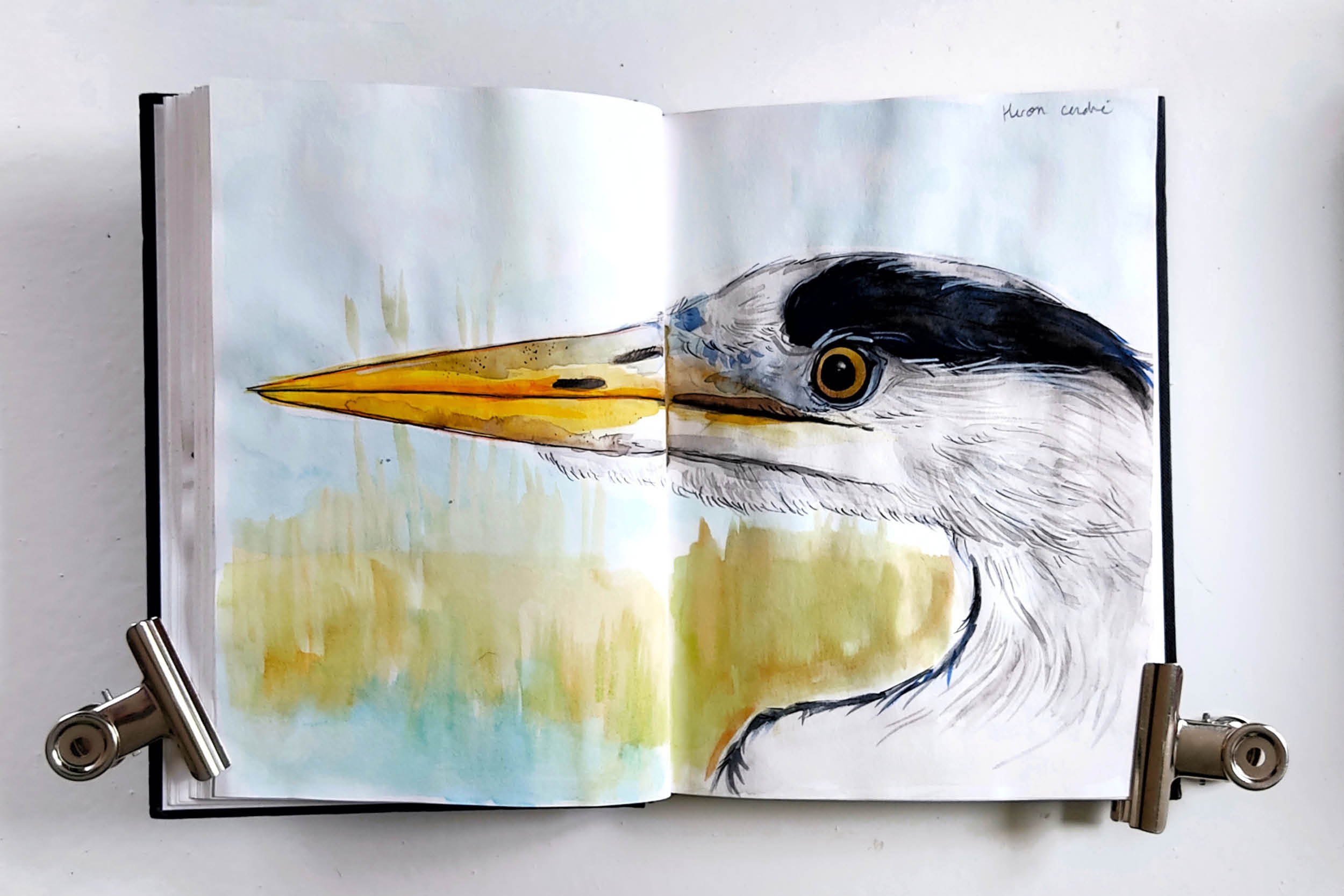 Apéro-culture « aquarelle »