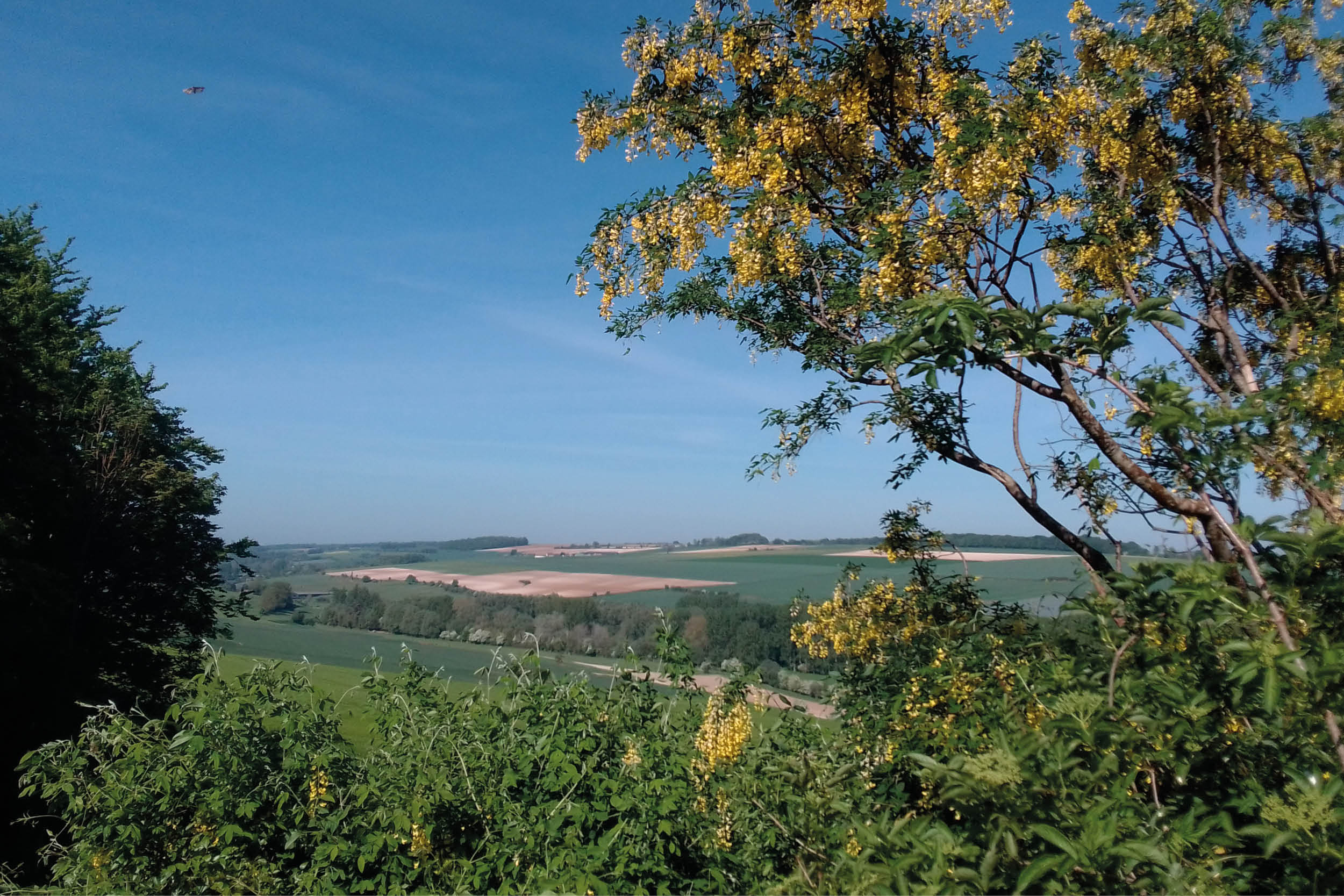 Balade contée au camp César
