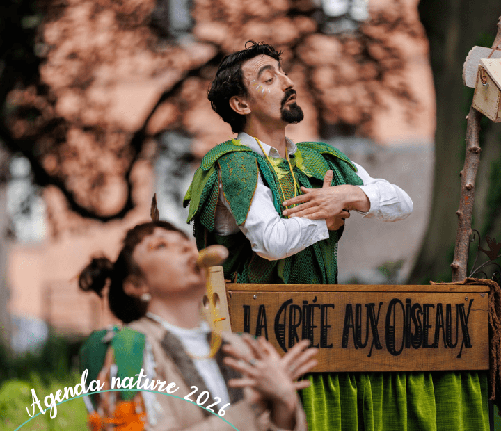 Séance d'initiation à l'ornithopostalogie